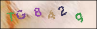 Registration Image